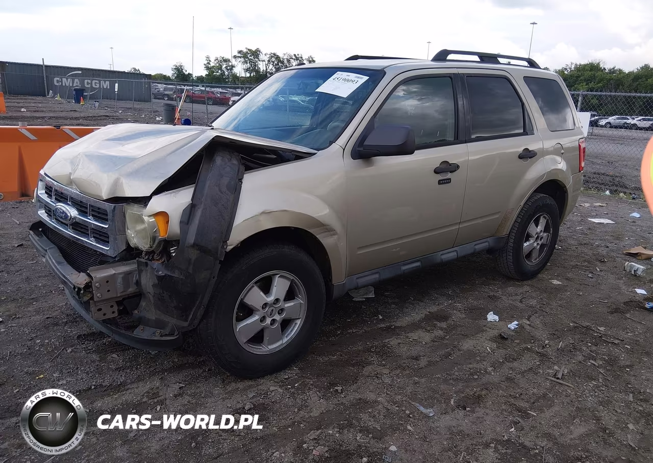 2010 Ford Escape Xlt VIN:1FMCU0D78AKB11342 - 2