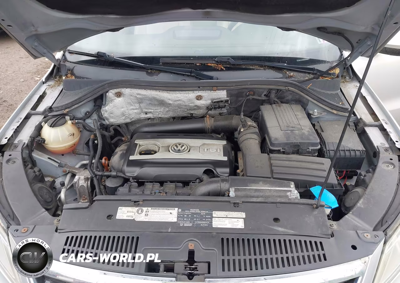 2011 Volkswagen Tiguan Sel VIN:WVGBV7AX8BW566353 - 10