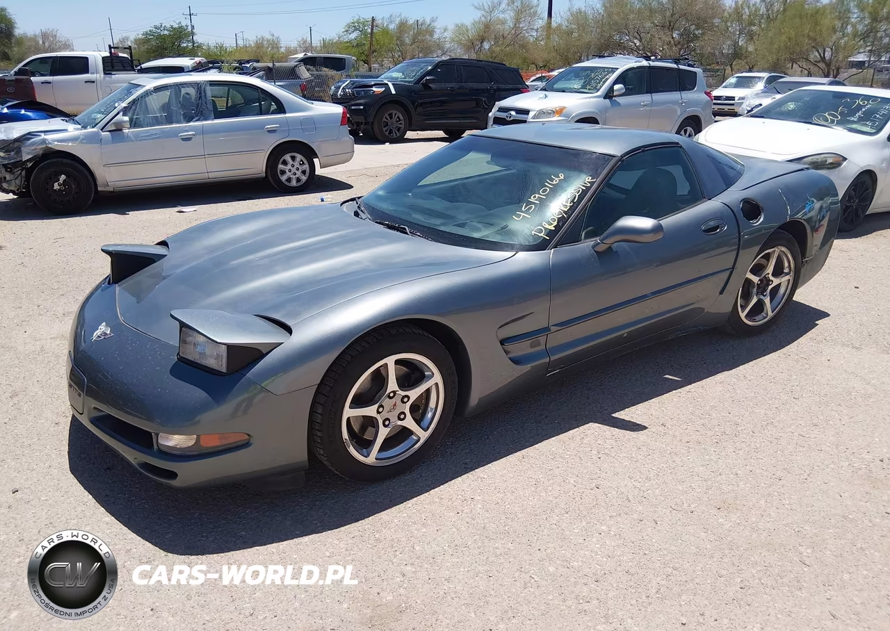2003 Chevrolet Corvette VIN:1G1YY22G935132451 - 2