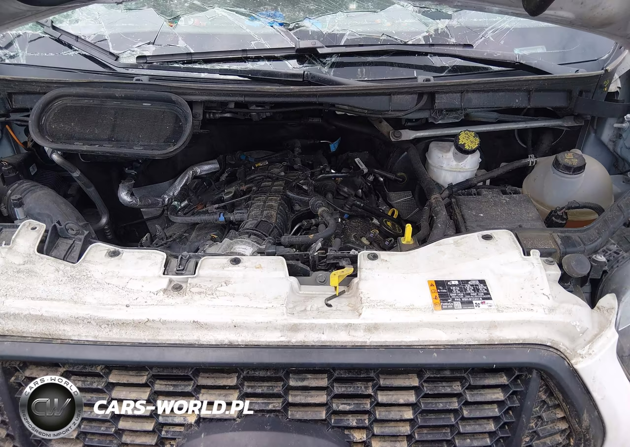 2024 Ford Transit-250 VIN:1FTBR1XG2RKA09131 - 10