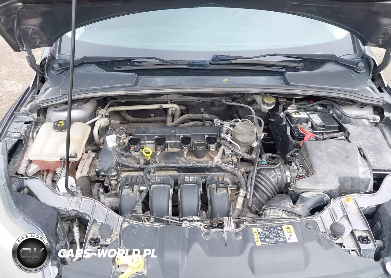 2014 Ford Focus Titanium VIN:1FADP3N26EL380739 - 10