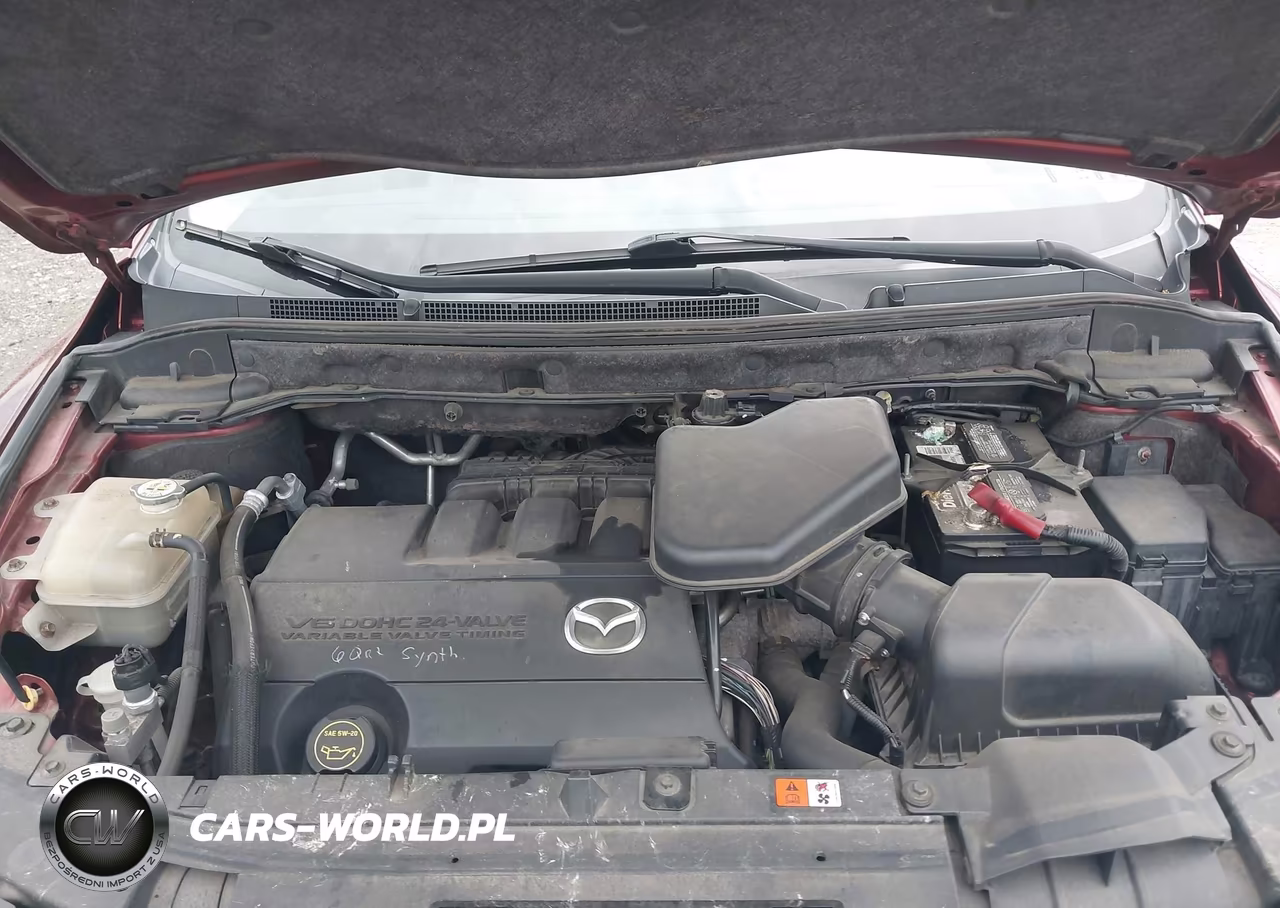 2010 Mazda Cx-9 Touring VIN:JM3TB3MV6A0209248 - 10