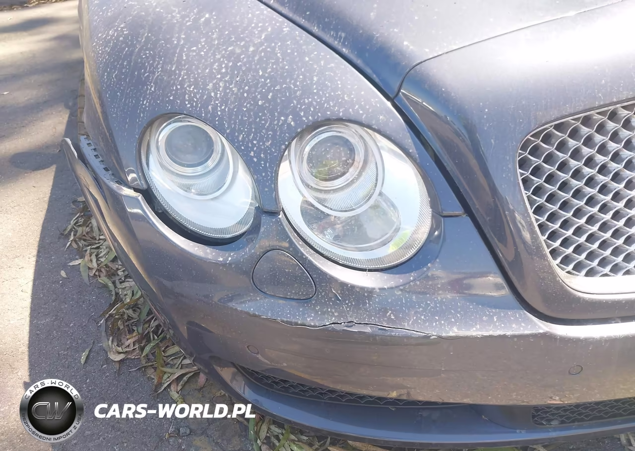 2007 Bentley Continental Flying Spur VIN:SCBBR93W07C047785 - 12