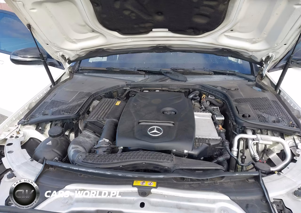 2017 Mercedes-Benz C 300 Sport VIN:55SWF4JB2HU226018 - 10