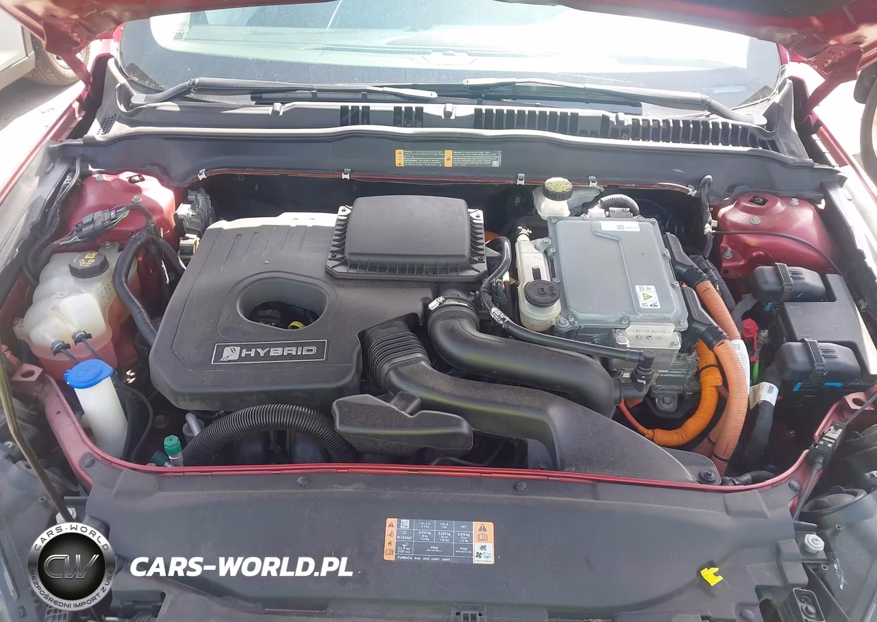 2017 Ford Fusion Hybrid Se VIN:3FA6P0LU3HR395314 - 10