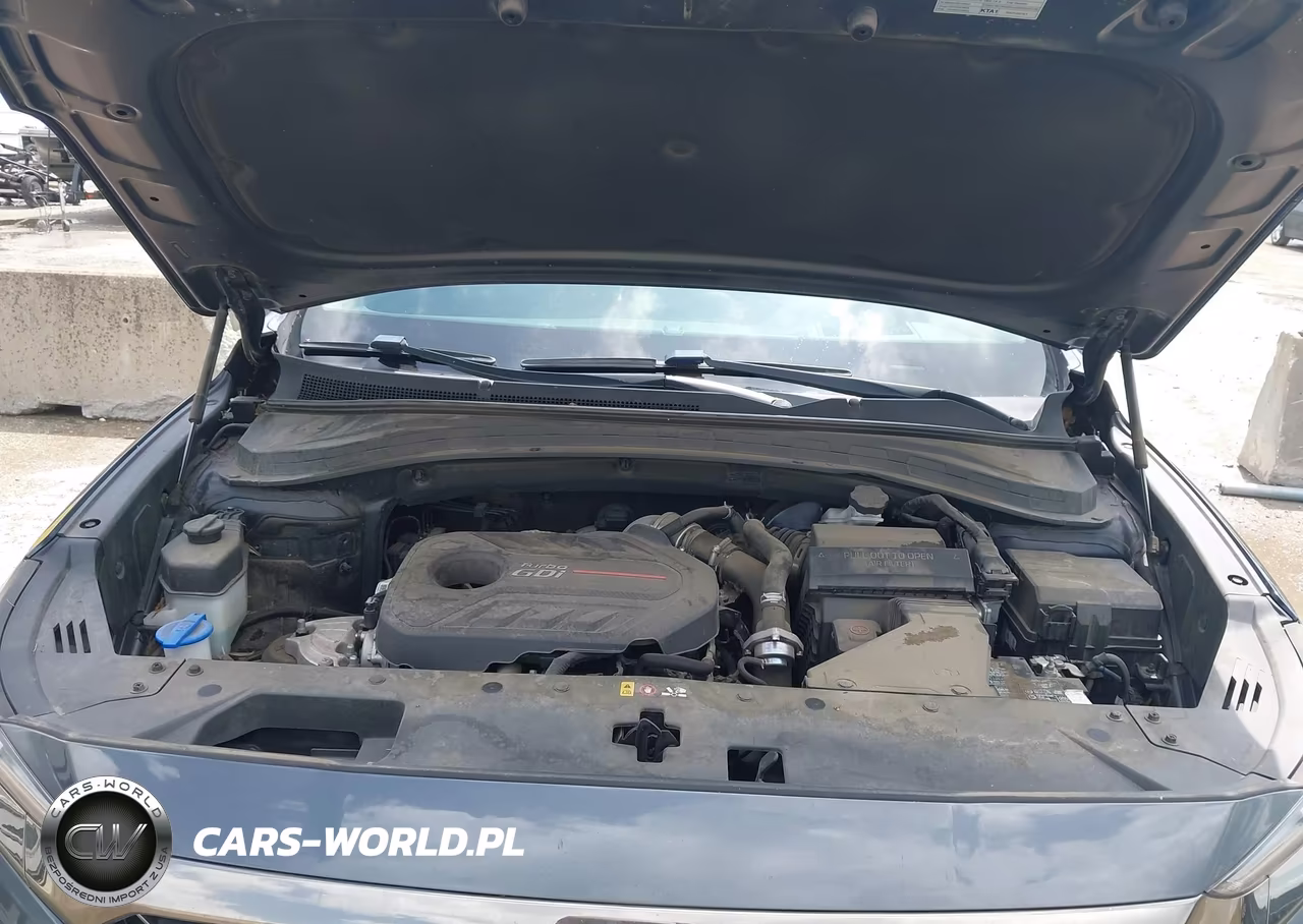 2020 Hyundai Santa Fe Limited 2.0T VIN:5NMS53AA3LH214732 - 10