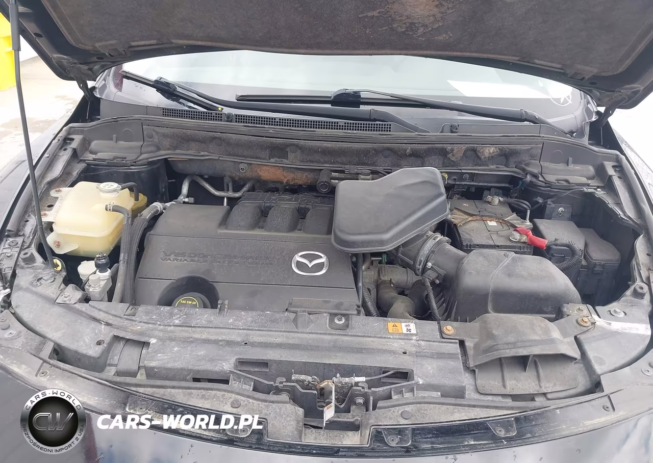 2013 Mazda Cx-9 Touring VIN:JM3TB3CAXD0400058 - 10