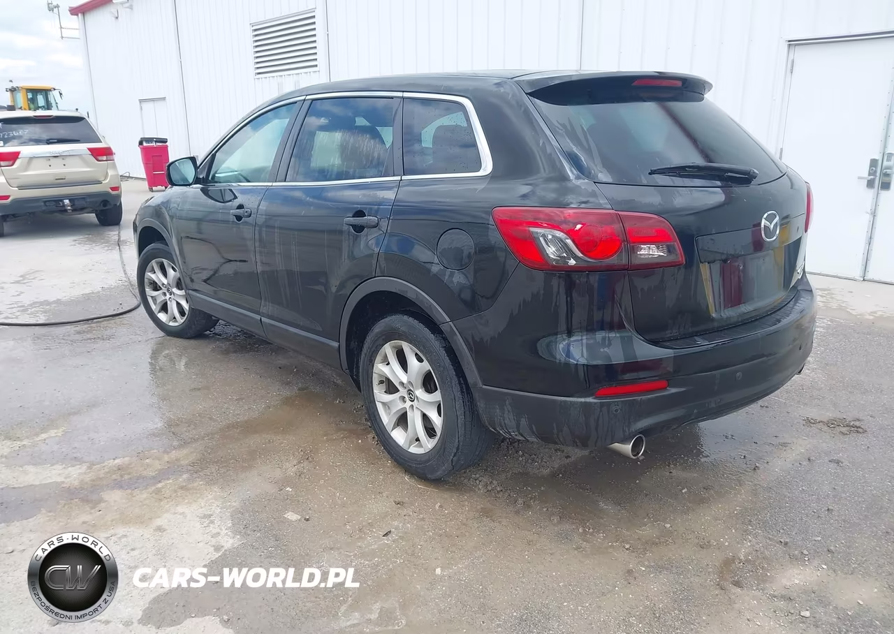 2013 Mazda Cx-9 Touring VIN:JM3TB3CAXD0400058 - 3