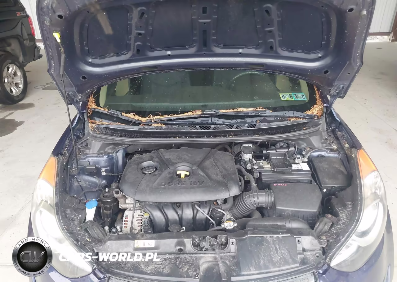 2013 Hyundai Elantra Gls VIN:5NPDH4AE6DH234101 - 10
