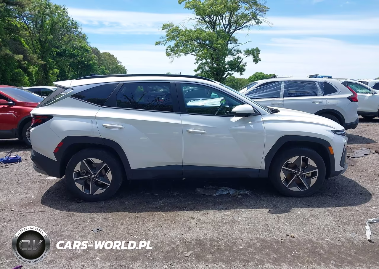 2025 Hyundai Tucson Sel VIN:3KMJBCDE1SE003650 - 12