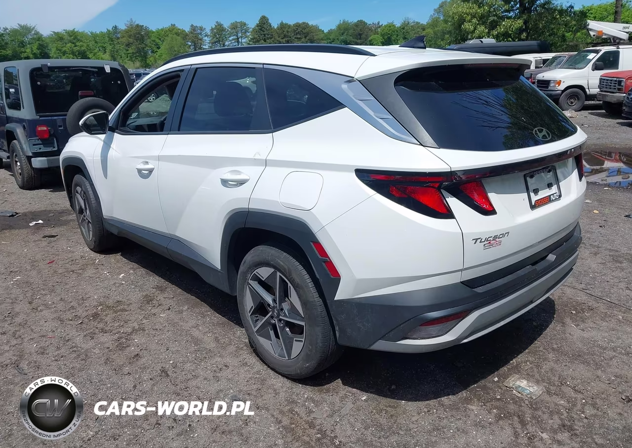 2025 Hyundai Tucson Sel VIN:3KMJBCDE1SE003650 - 3