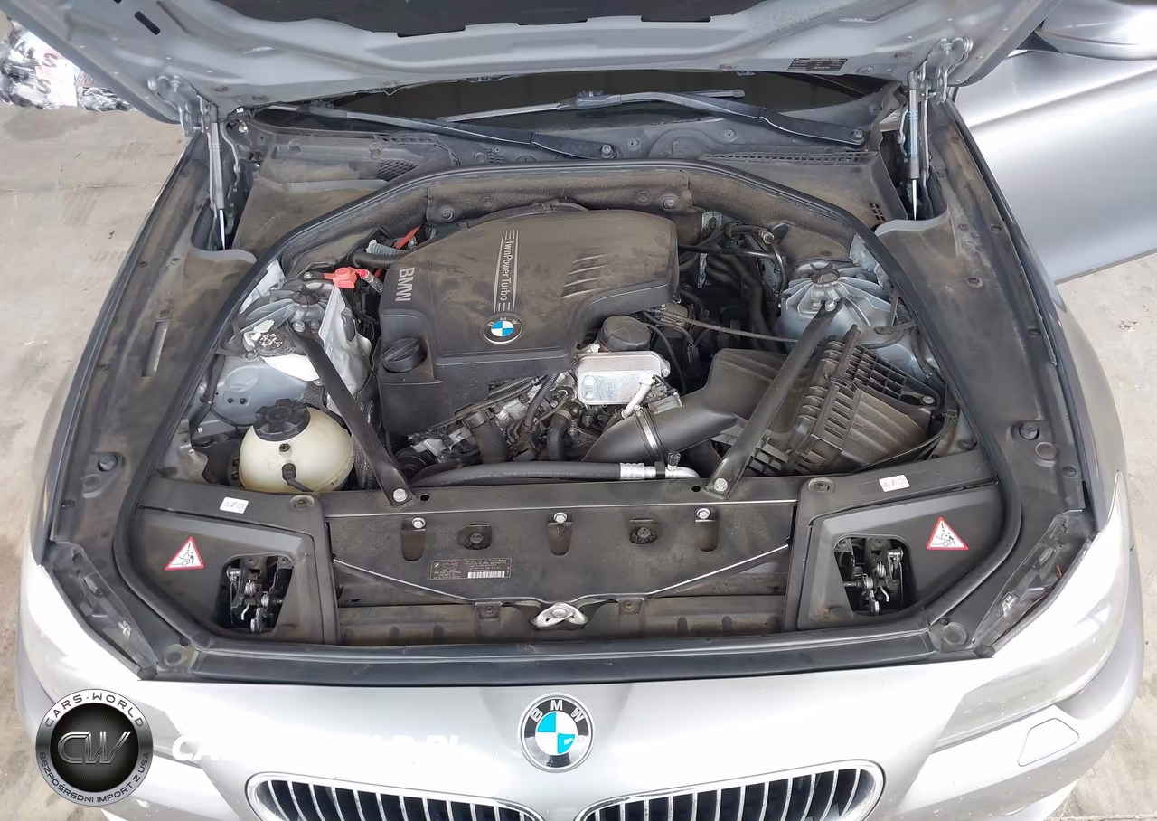 2013 BMW 528I VIN:WBAXG5C56DD235061 - 10