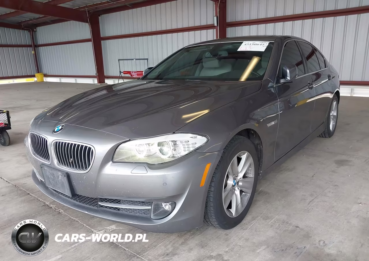 2013 BMW 528I VIN:WBAXG5C56DD235061 - 2