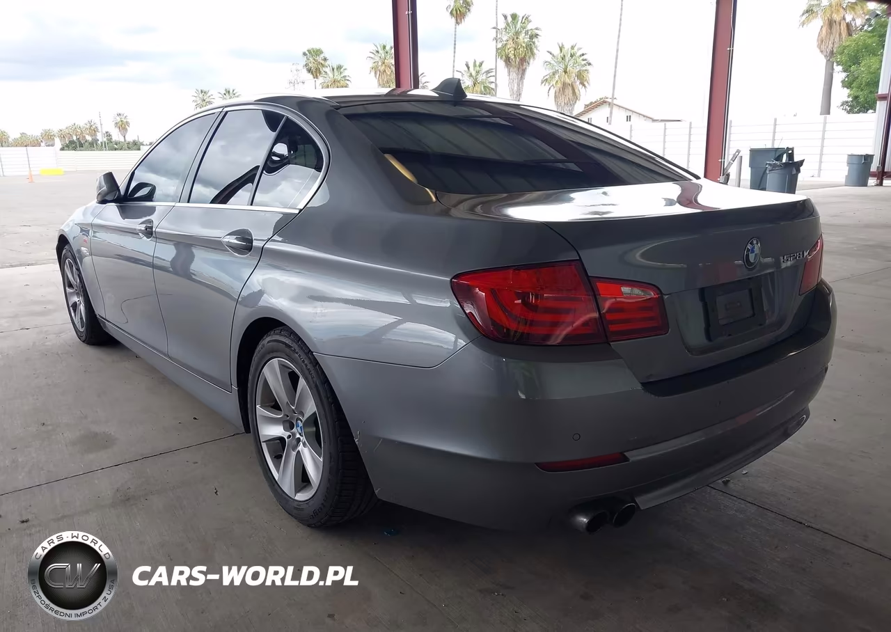 2013 BMW 528I VIN:WBAXG5C56DD235061 - 3