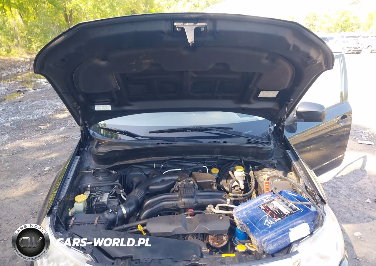 2013 Subaru Forester 2.5X VIN:JF2SHABC4DG444026 - 10