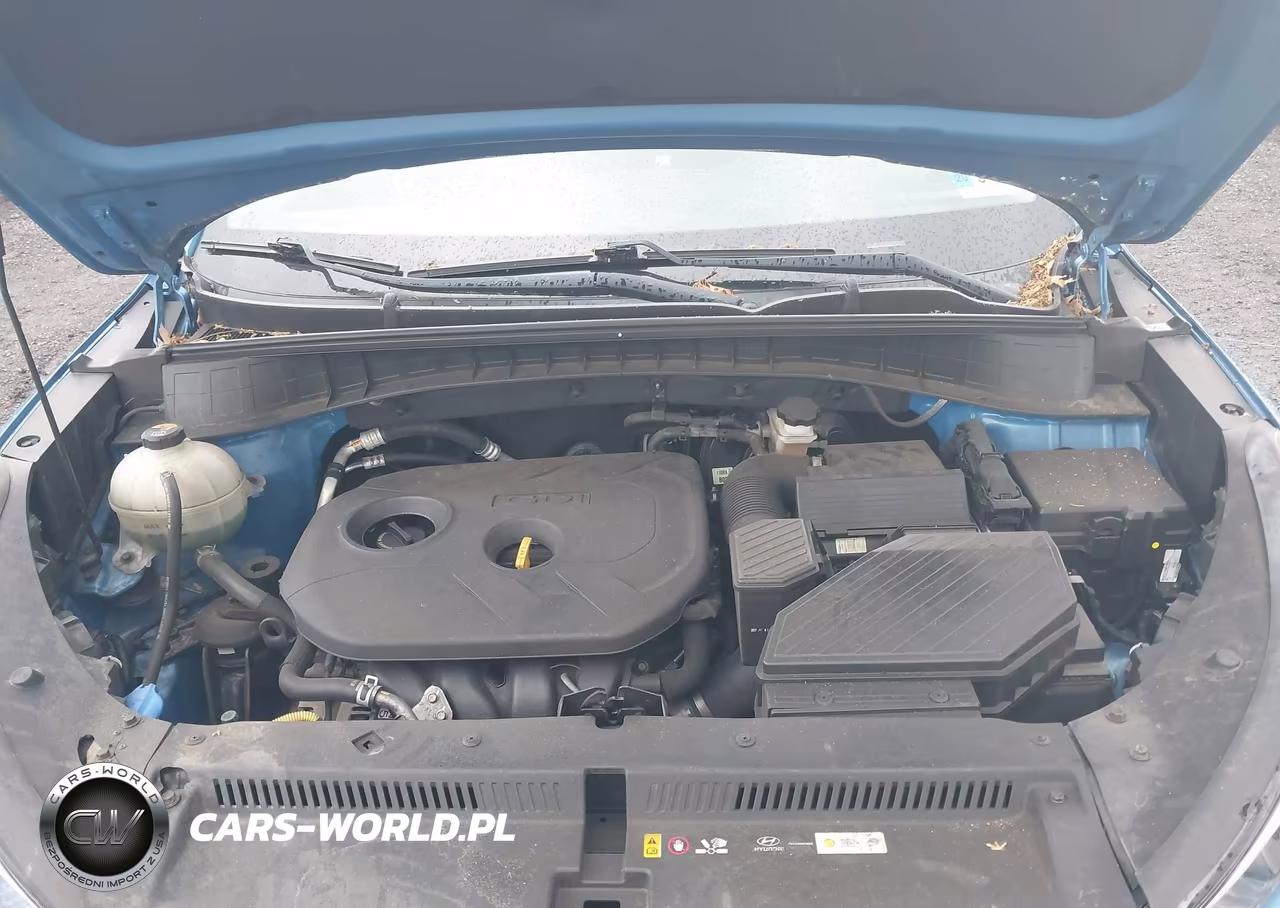 2017 Hyundai Tucson Se VIN:KM8J33A44HU522144 - 10