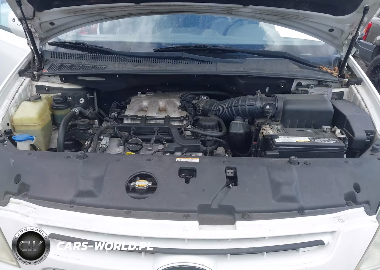 2008 Kia Sedona Lx VIN:KNDMB233086255365 - 10