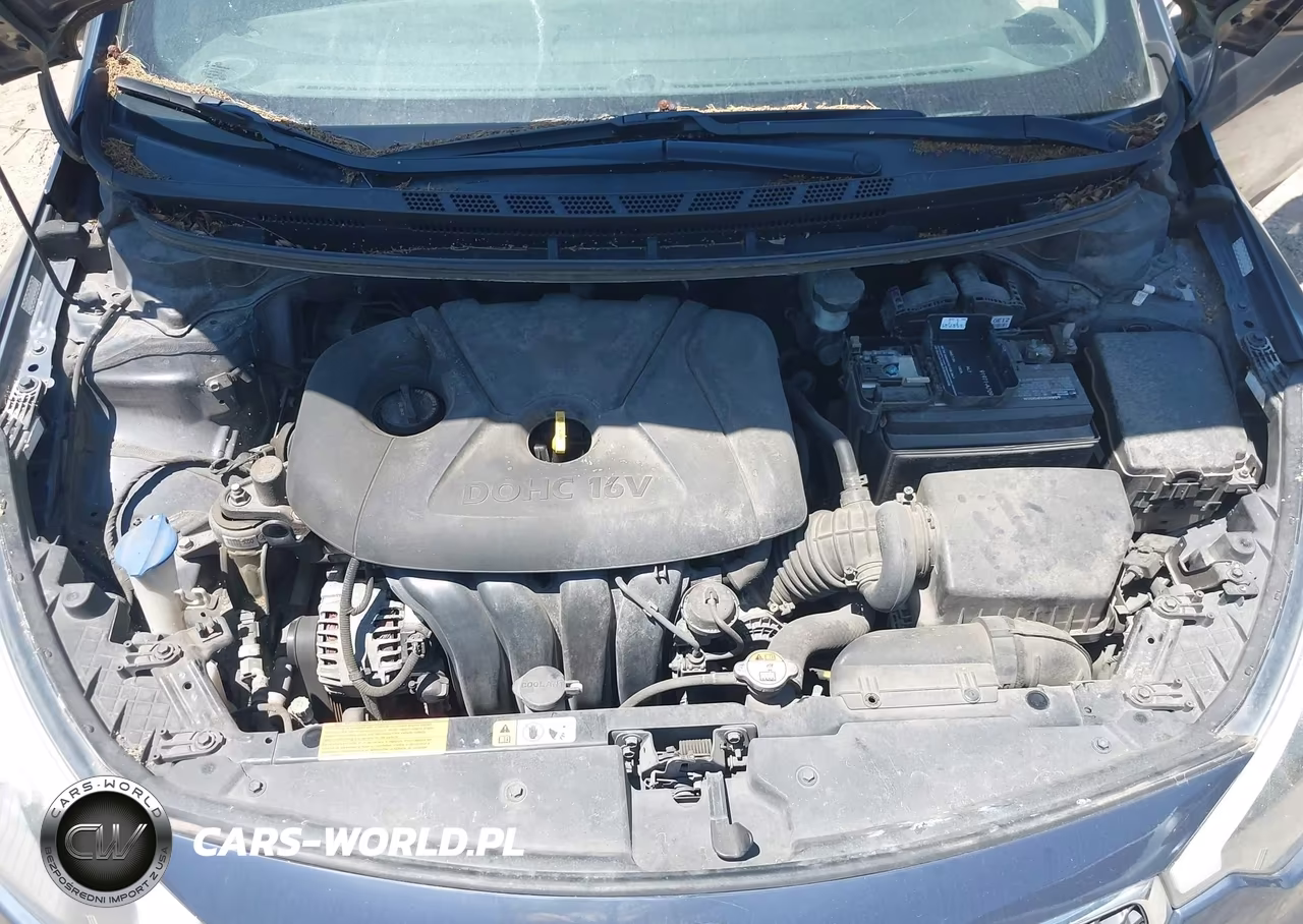 2016 Kia Forte Lx VIN:KNAFX4A65G5553916 - 10