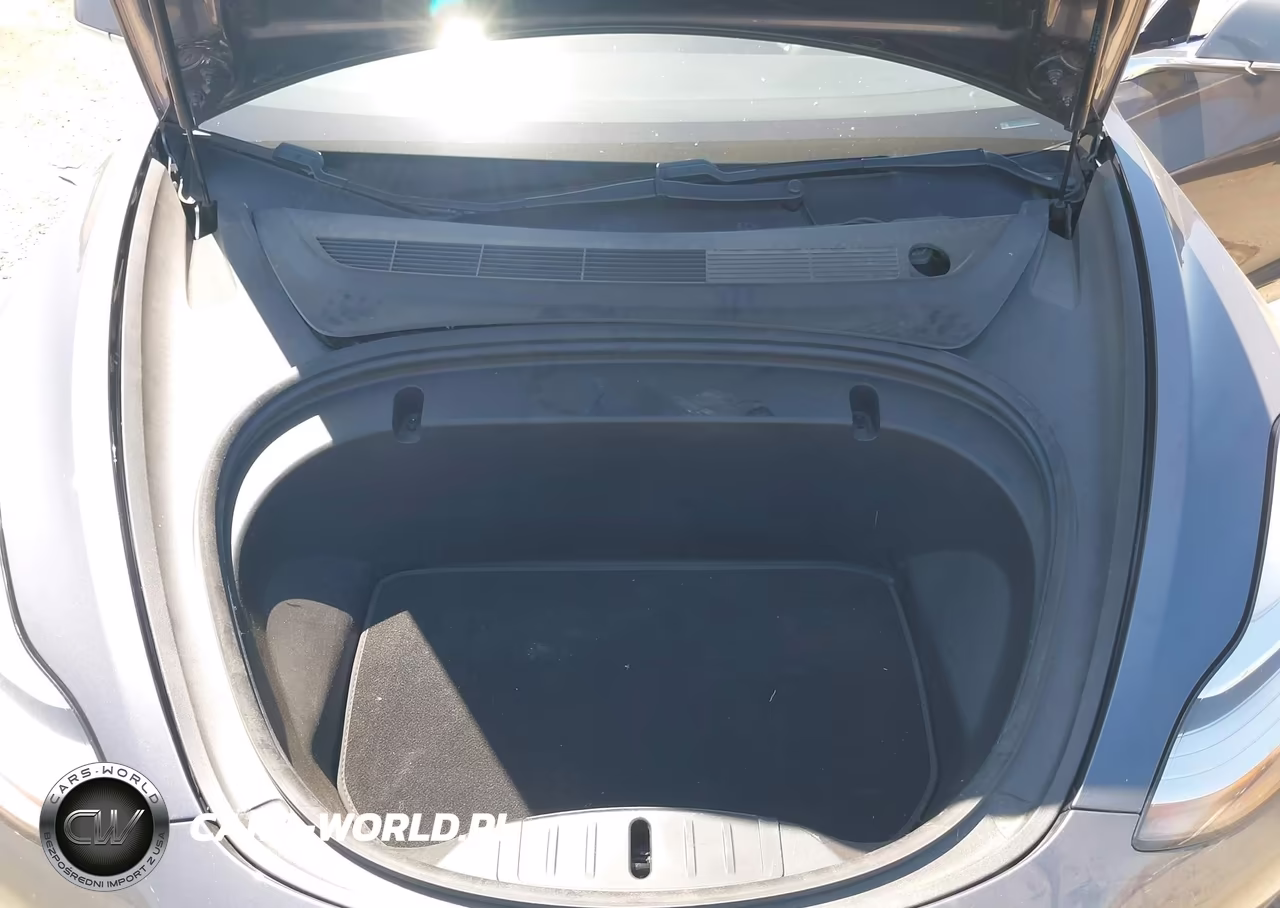 2020 Tesla Model 3 Long Range Dual Motor All-Wheel Drive VIN:5YJ3E1EB5LF663374 - 10