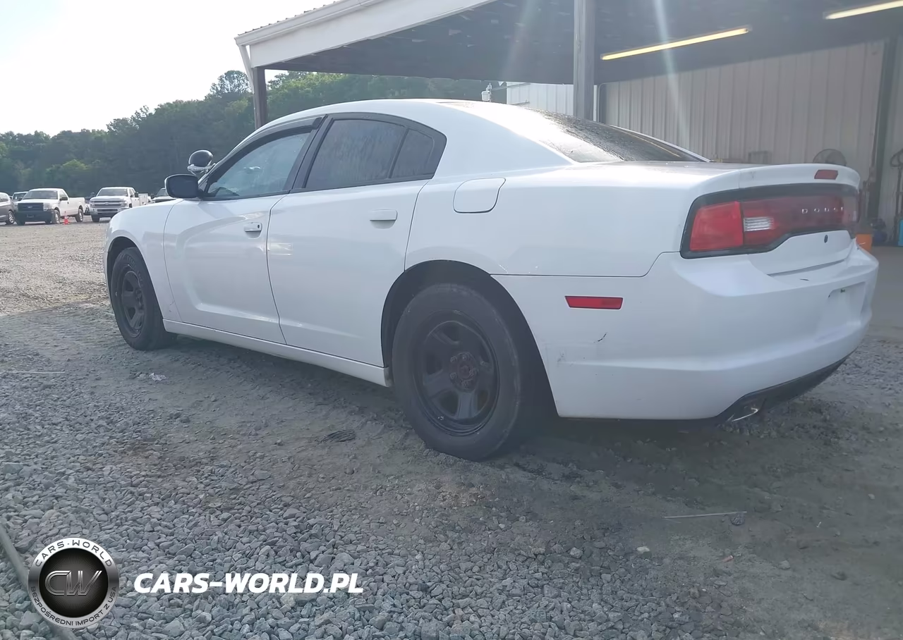 2013 Dodge Charger Police VIN:2C3CDXAG1DH611554 - 3