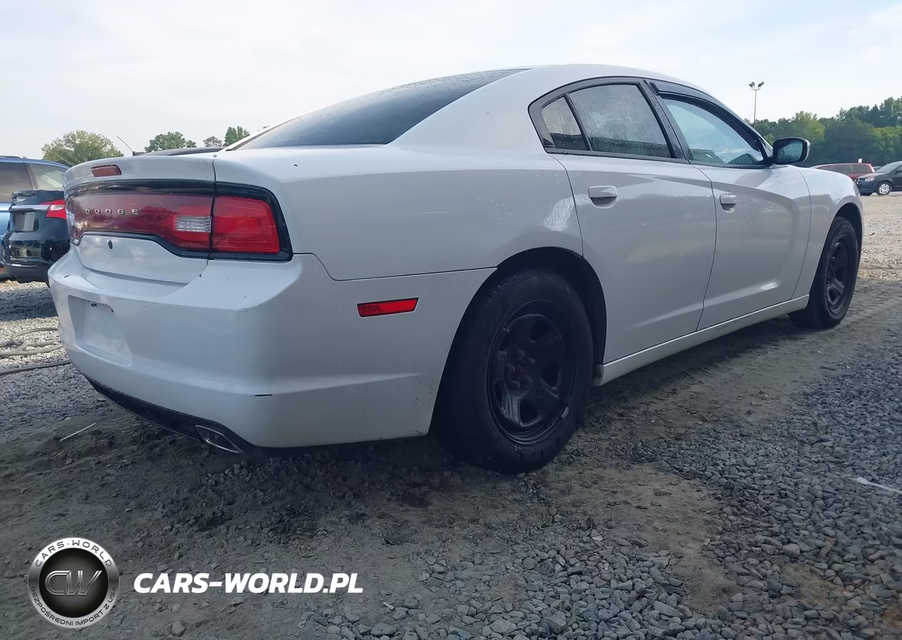 2013 Dodge Charger Police VIN:2C3CDXAG1DH611554 - 4