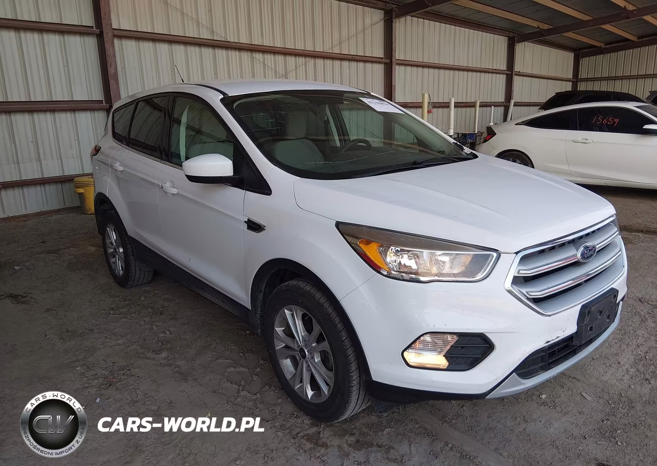 2019 Ford Escape Se