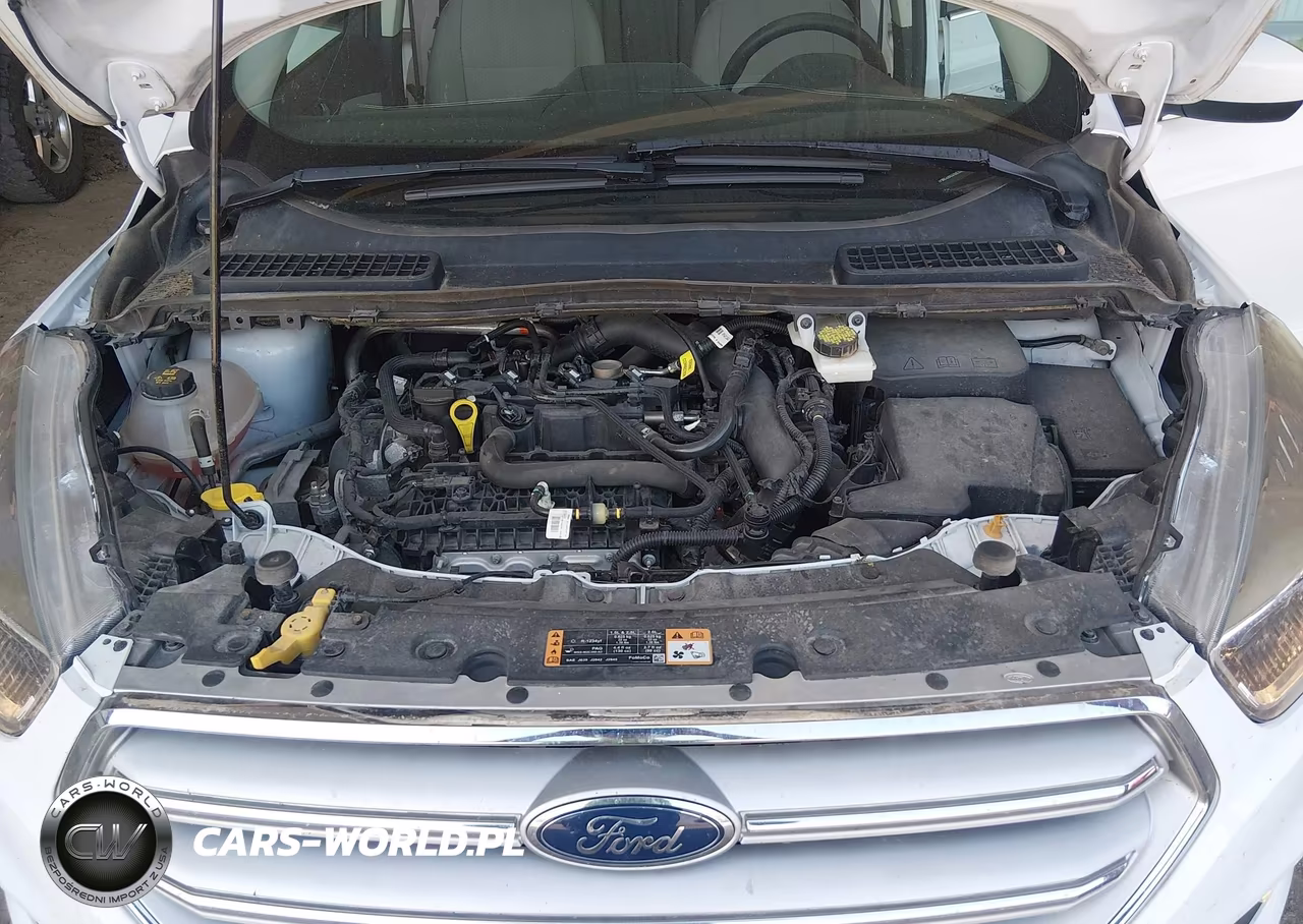 2019 Ford Escape Se VIN:1FMCU0GD9KUA31264 - 10