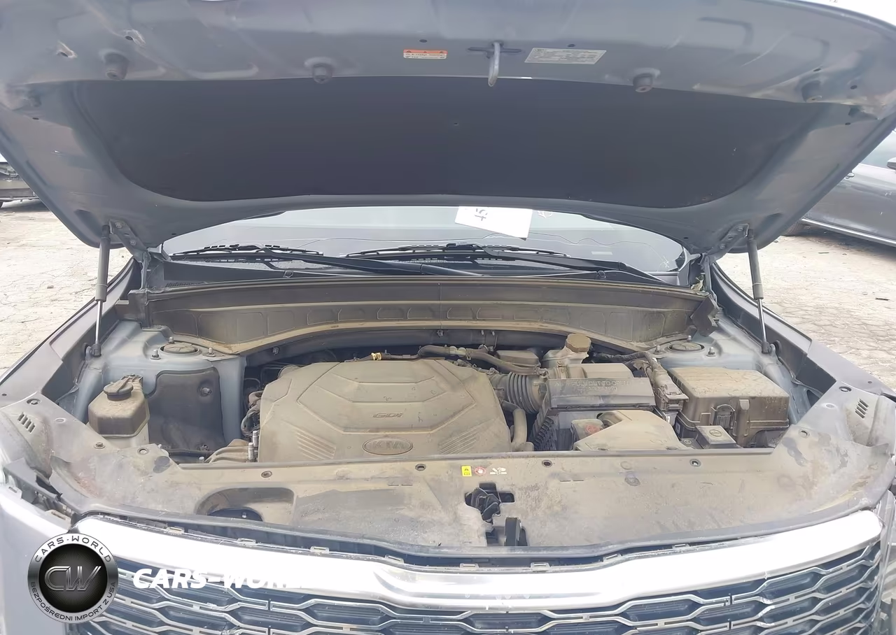 2020 Kia Telluride S VIN:5XYP6DHC7LG056017 - 10