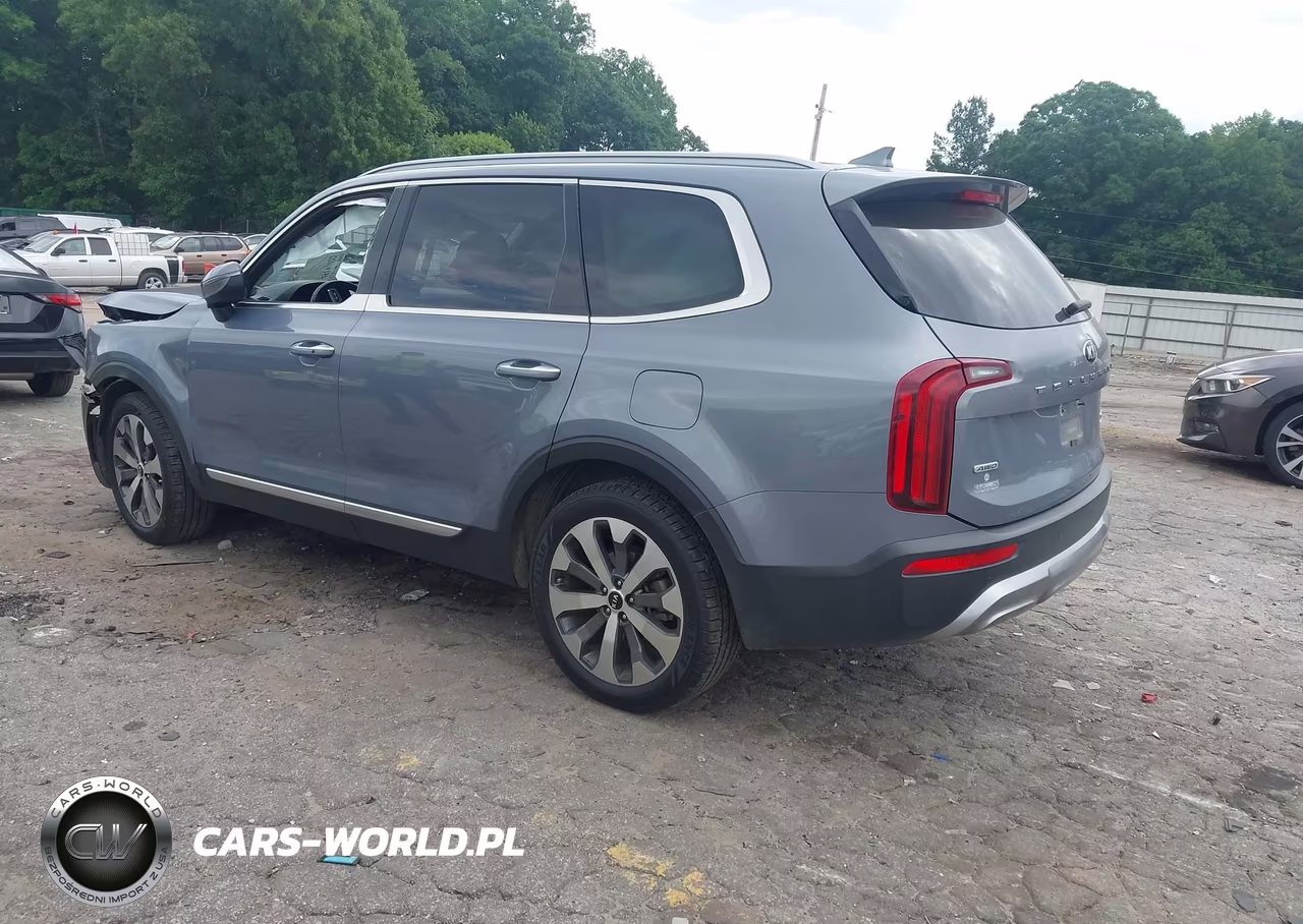 2020 Kia Telluride S VIN:5XYP6DHC7LG056017 - 3