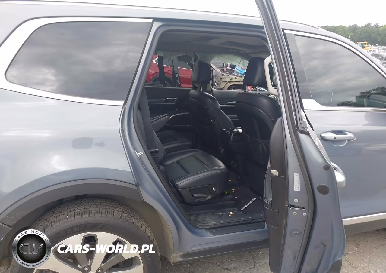 2020 Kia Telluride S VIN:5XYP6DHC7LG056017 - 8