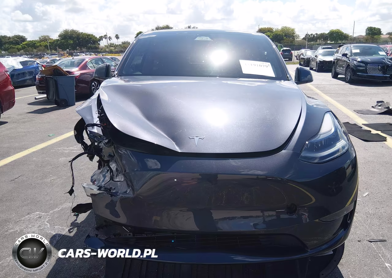 2024 Tesla Model Y Long Range Dual Motor All-Wheel Drive VIN:7SAYGDEE4RA302562 - 12
