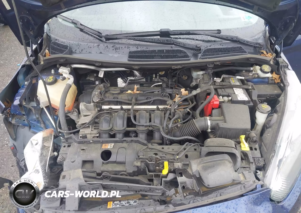 2016 Ford Fiesta Se VIN:3FADP4BJ6GM138133 - 10