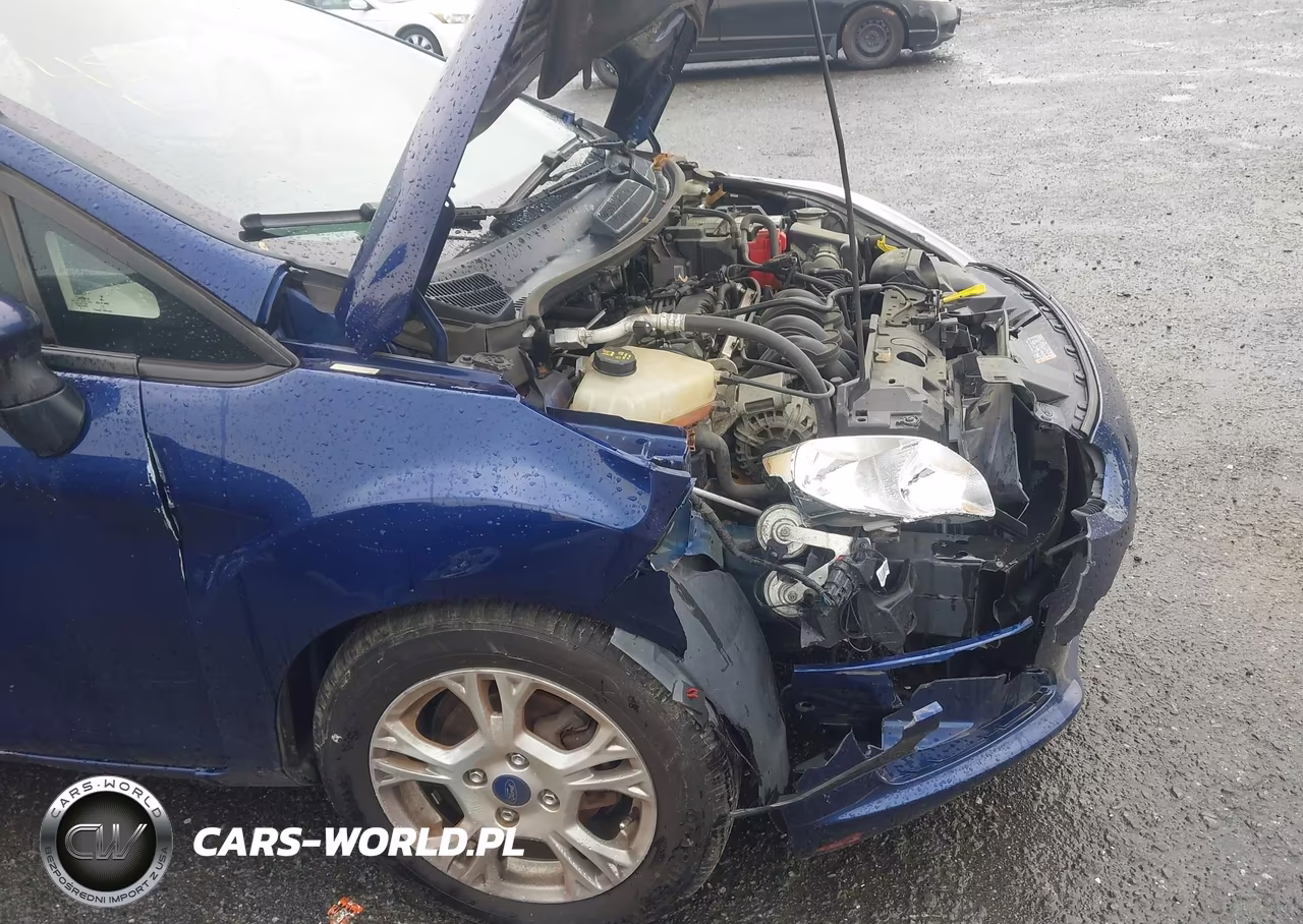 2016 Ford Fiesta Se VIN:3FADP4BJ6GM138133 - 12