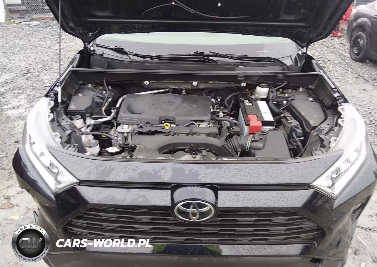 2019 Toyota Rav4 Xle Premium VIN:JTMA1RFV2KD505445 - 10
