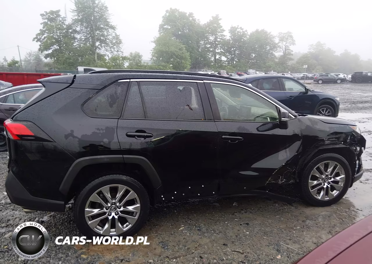 2019 Toyota Rav4 Xle Premium VIN:JTMA1RFV2KD505445 - 13