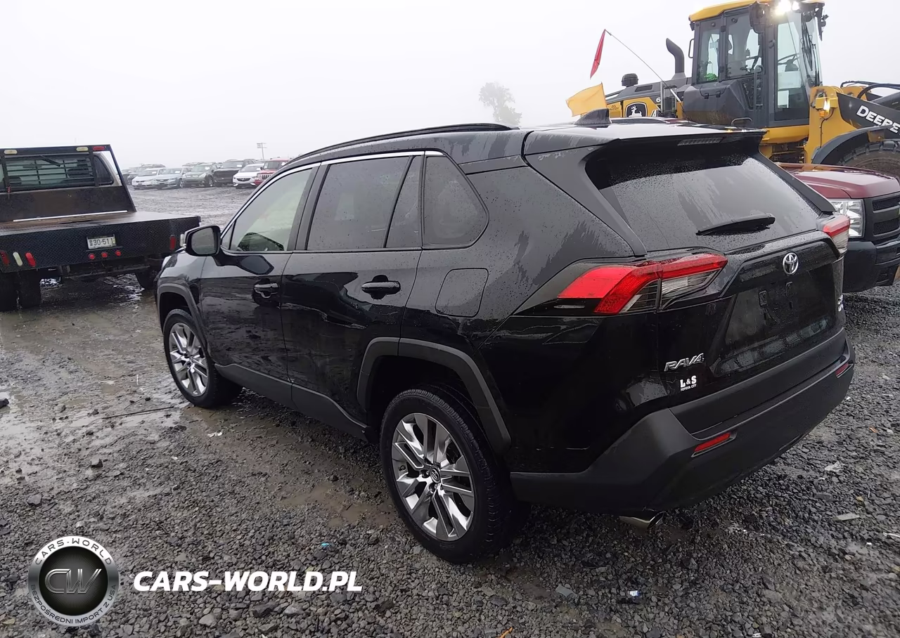 2019 Toyota Rav4 Xle Premium VIN:JTMA1RFV2KD505445 - 3