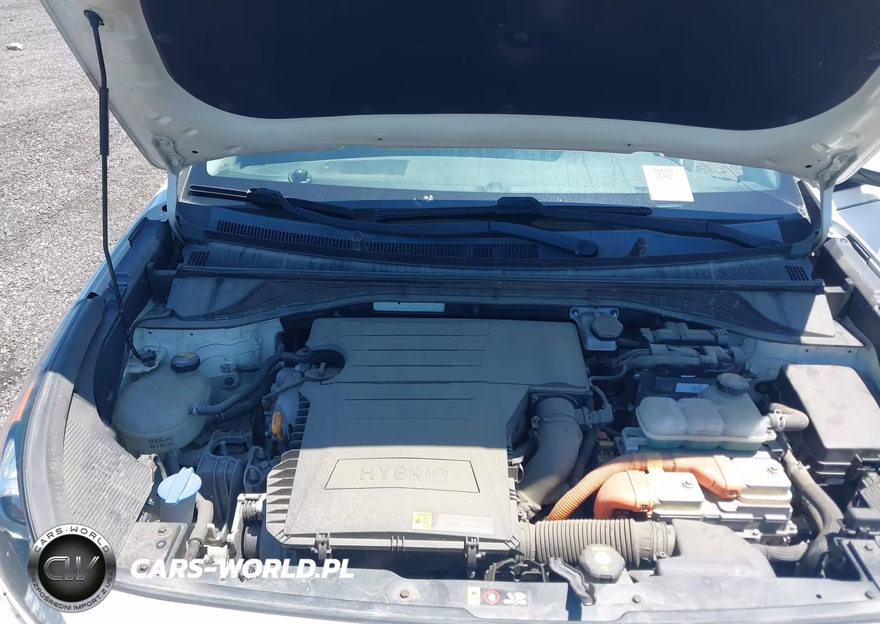 2019 Kia Niro Lx VIN:KNDCB3LC5K5243775 - 10