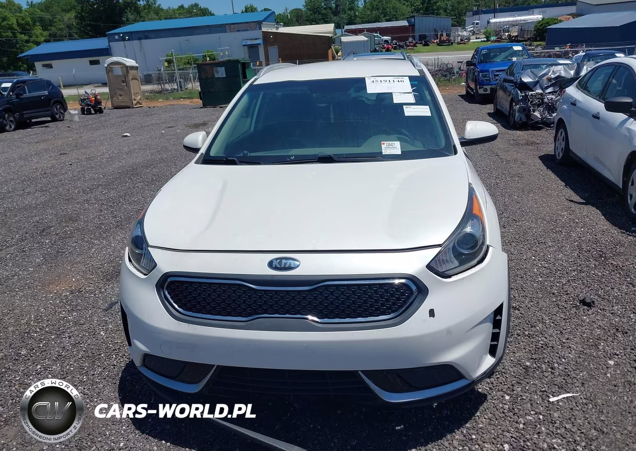 2019 Kia Niro Lx VIN:KNDCB3LC5K5243775 - 12