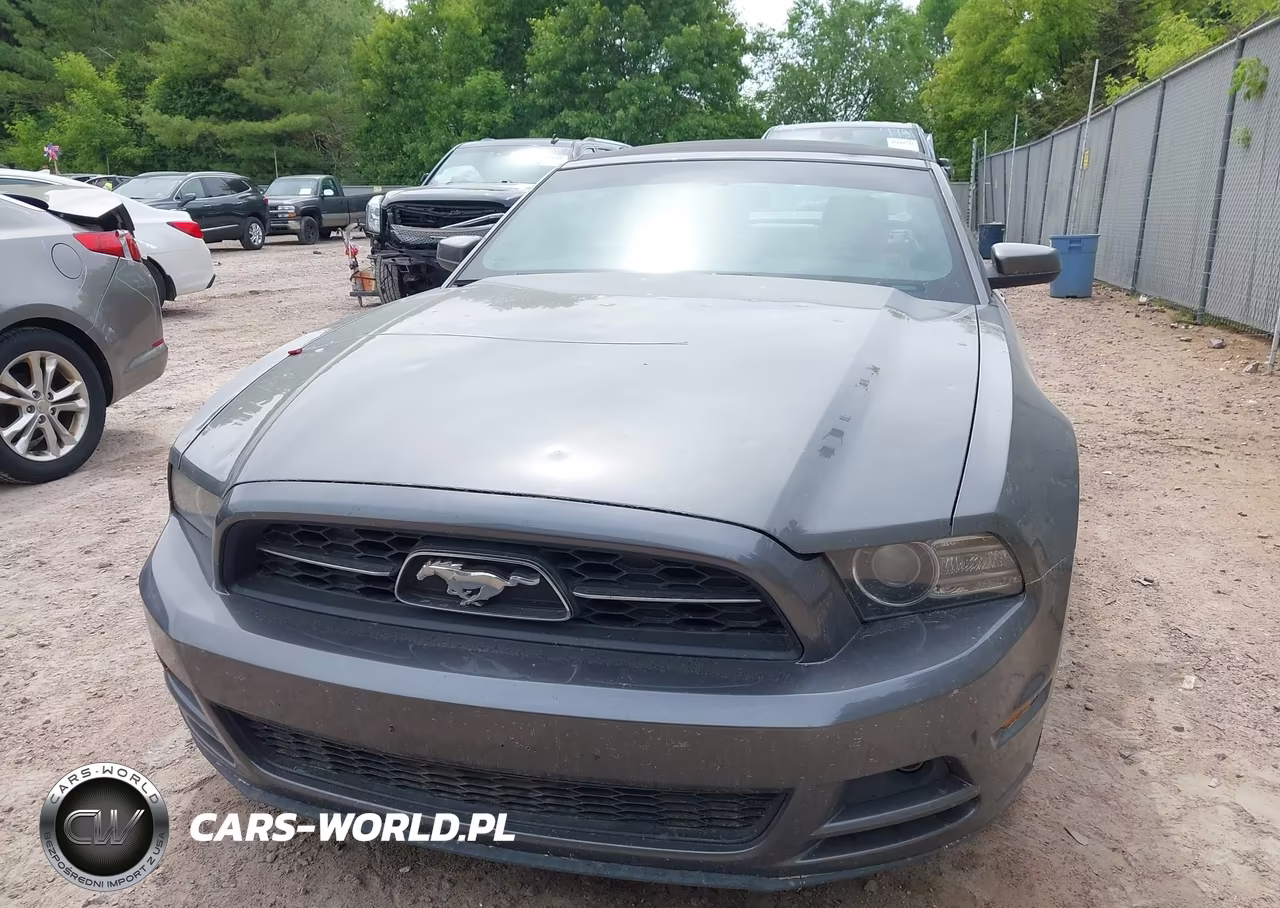 2013 Ford Mustang V6 Premium VIN:1ZVBP8EM2D5238954 - 12