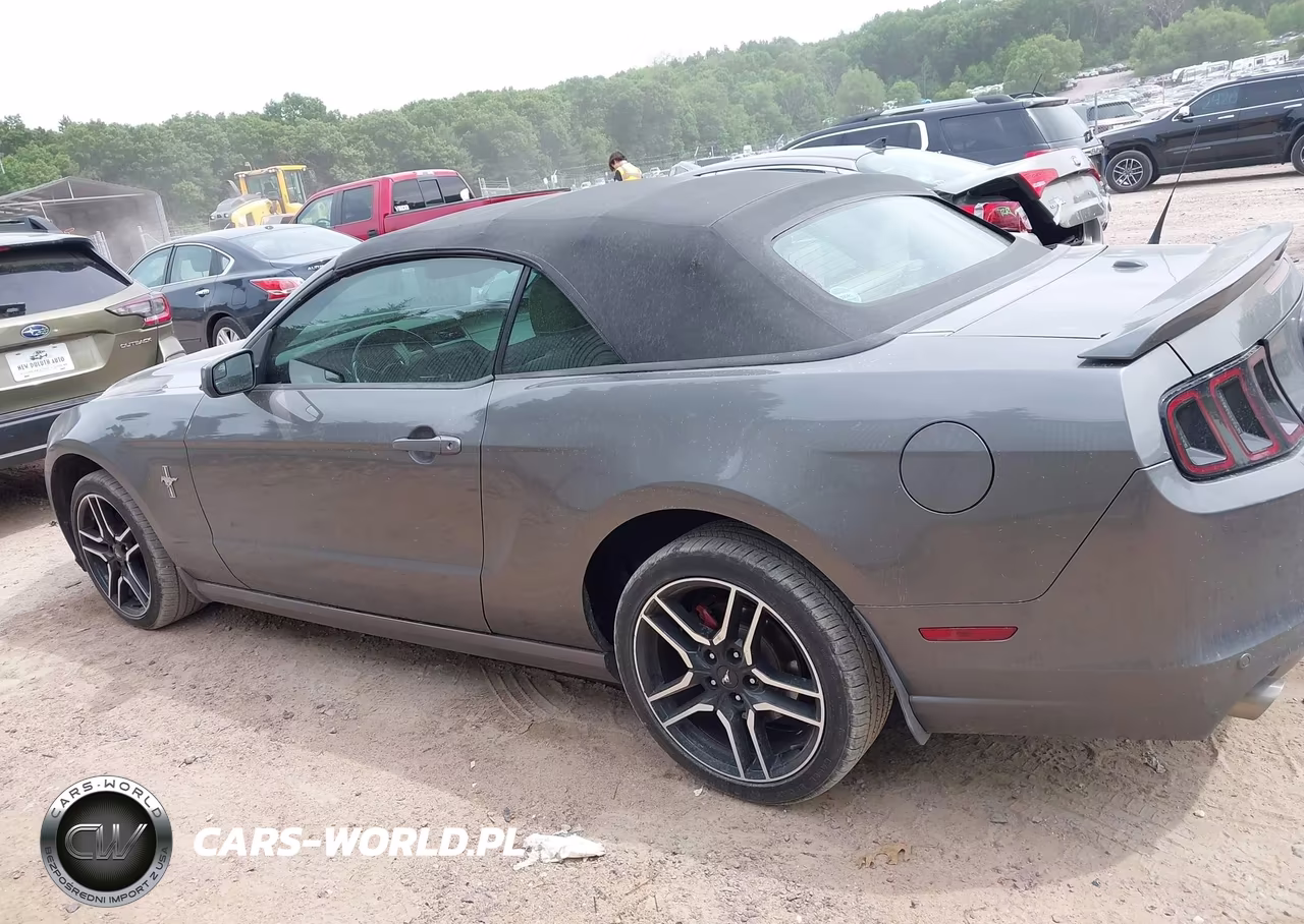 2013 Ford Mustang V6 Premium VIN:1ZVBP8EM2D5238954 - 14