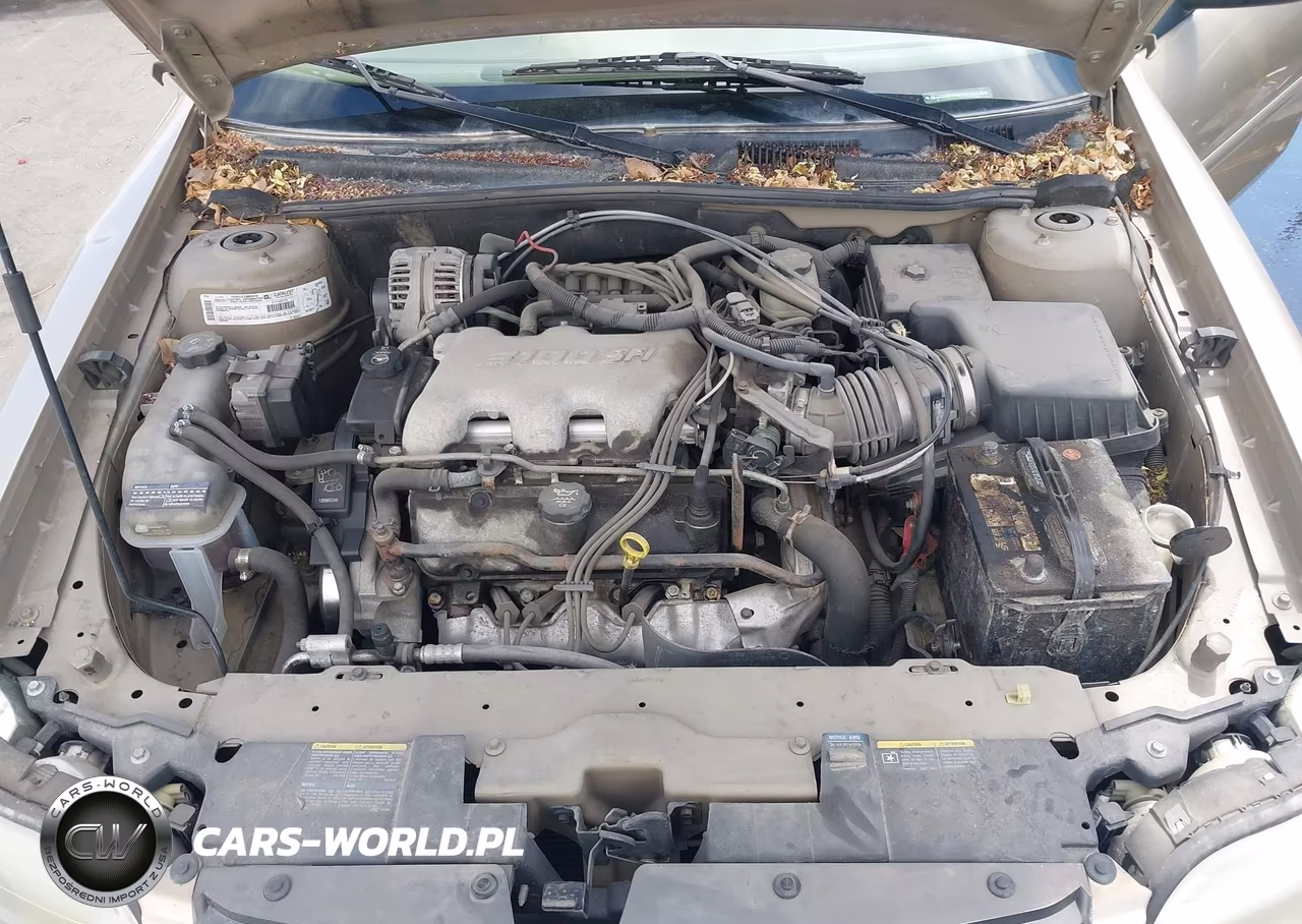 2003 Chevrolet Malibu VIN:1G1ND52J03M693963 - 10