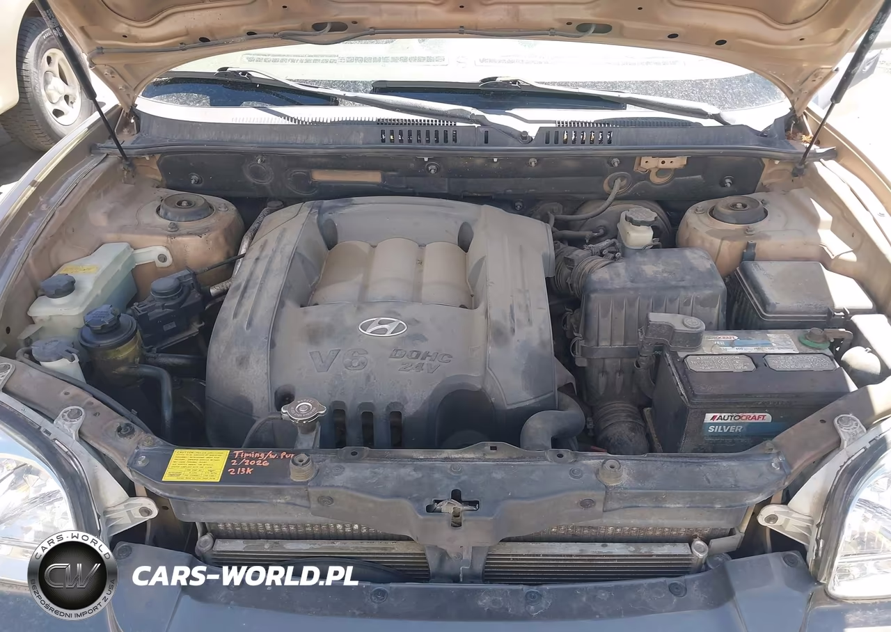 2003 Hyundai Santa Fe Gls-Lx VIN:KM8SC73D63U522762 - 10