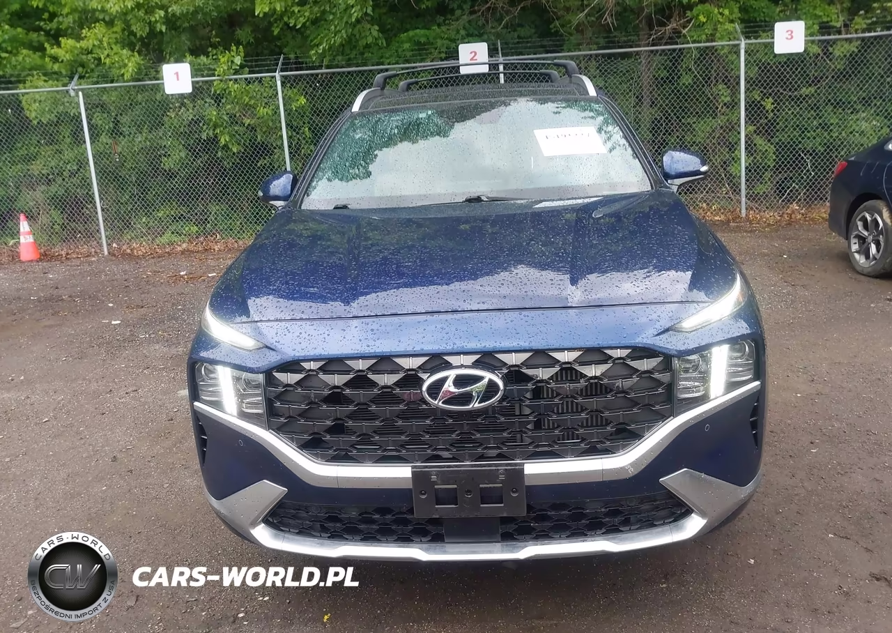 2023 Hyundai Santa Fe Calligraphy VIN:5NMS5DAL2PH543256 - 12
