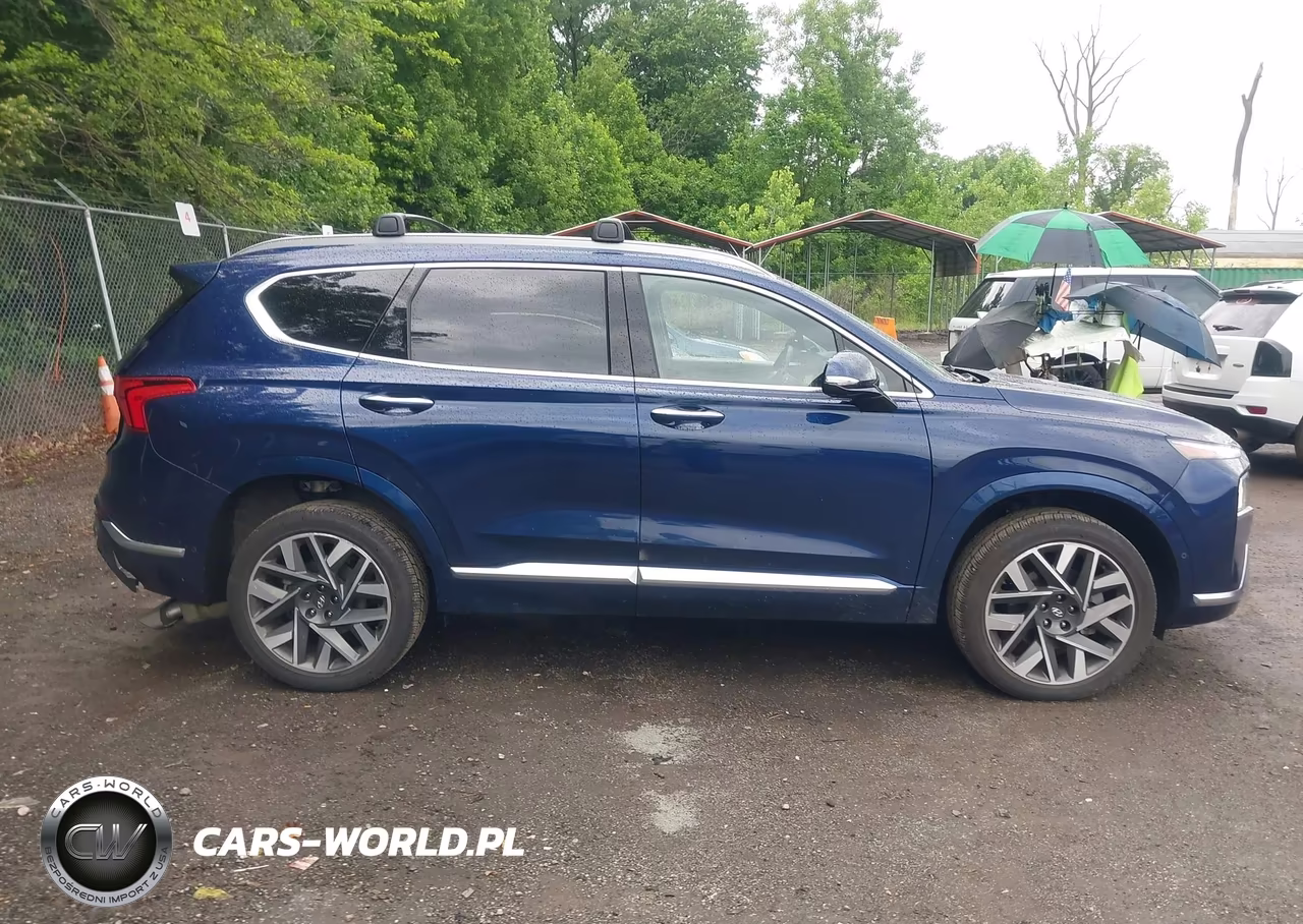 2023 Hyundai Santa Fe Calligraphy VIN:5NMS5DAL2PH543256 - 13