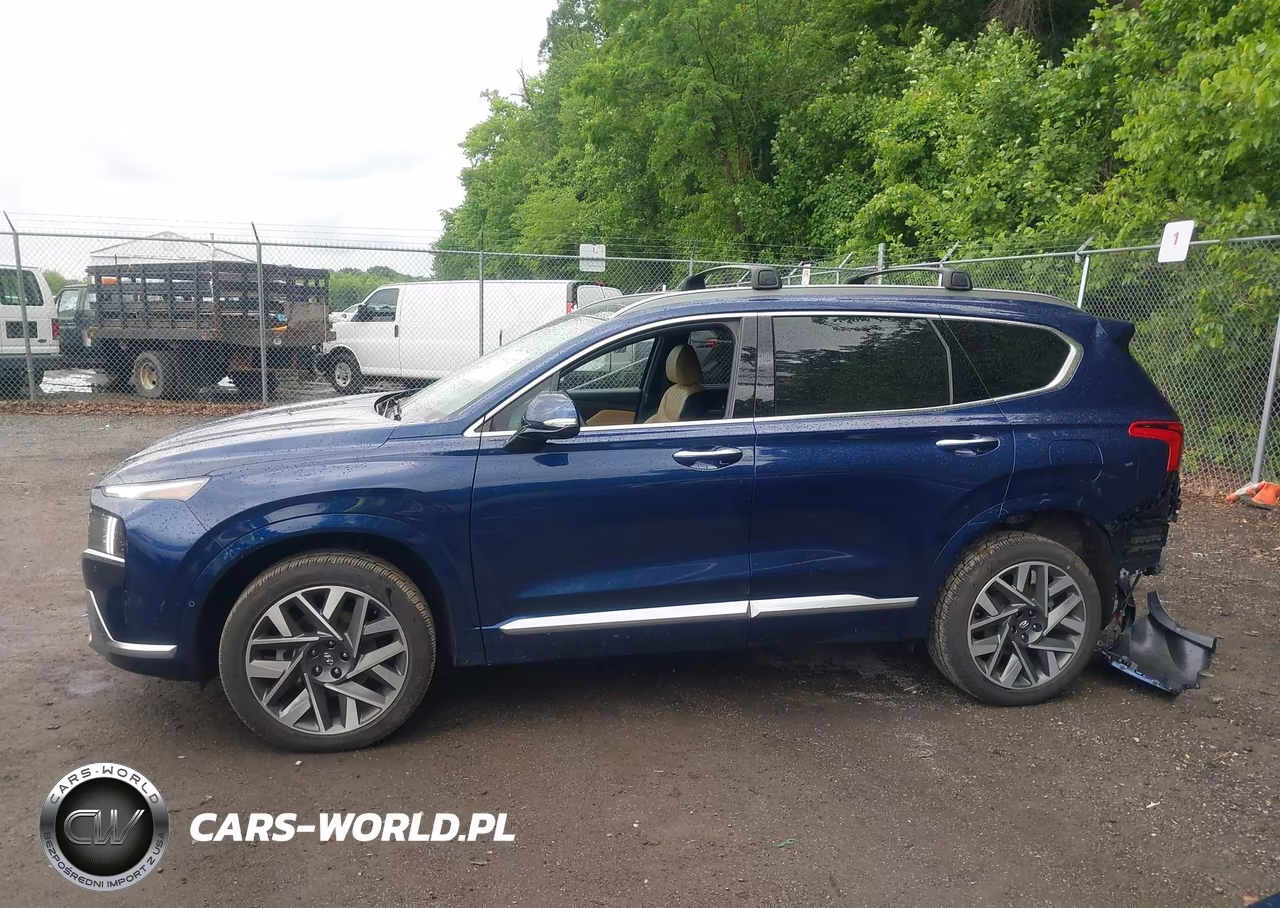 2023 Hyundai Santa Fe Calligraphy VIN:5NMS5DAL2PH543256 - 14