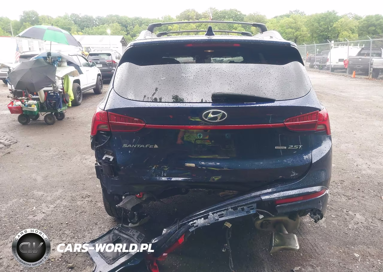 2023 Hyundai Santa Fe Calligraphy VIN:5NMS5DAL2PH543256 - 16