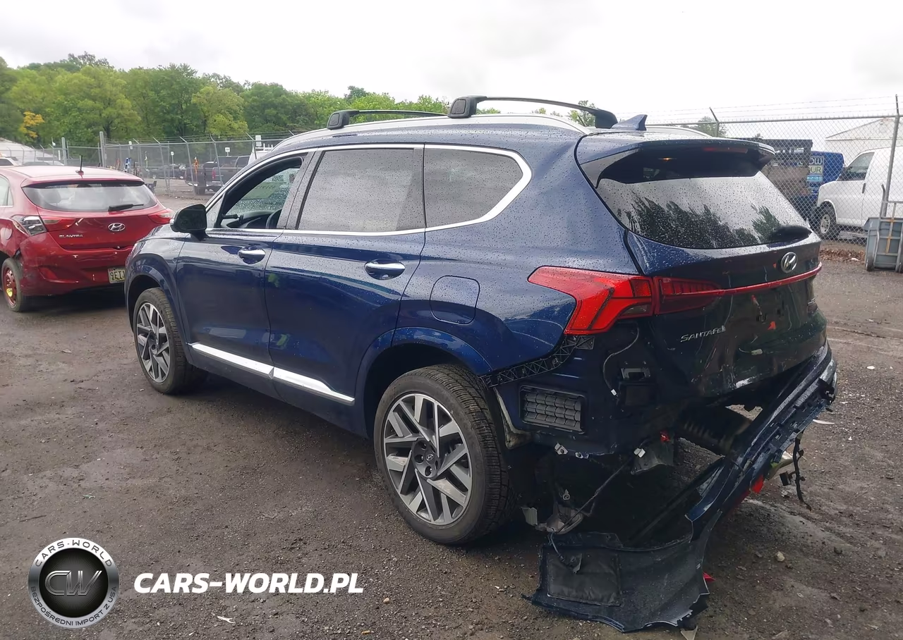 2023 Hyundai Santa Fe Calligraphy VIN:5NMS5DAL2PH543256 - 3