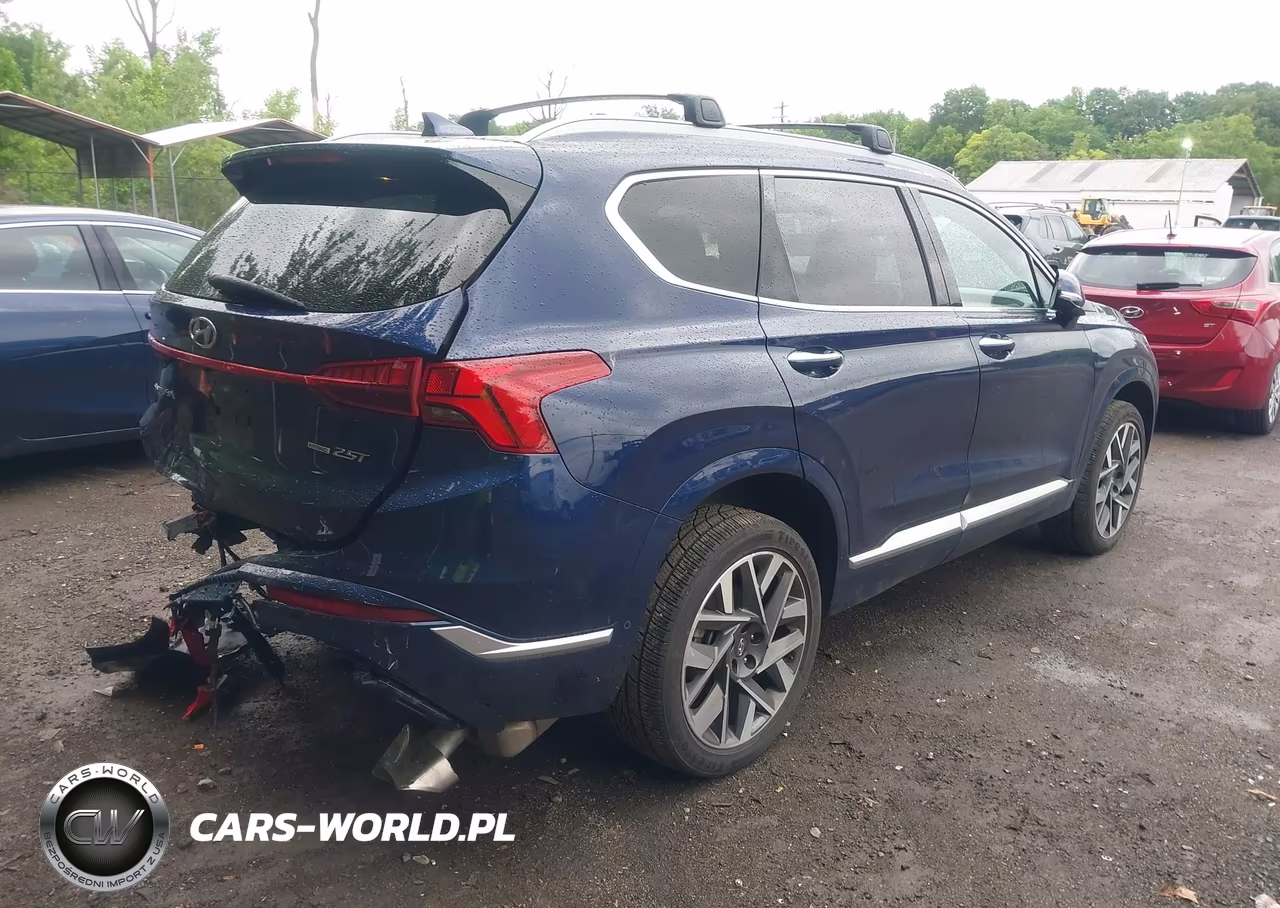 2023 Hyundai Santa Fe Calligraphy VIN:5NMS5DAL2PH543256 - 4