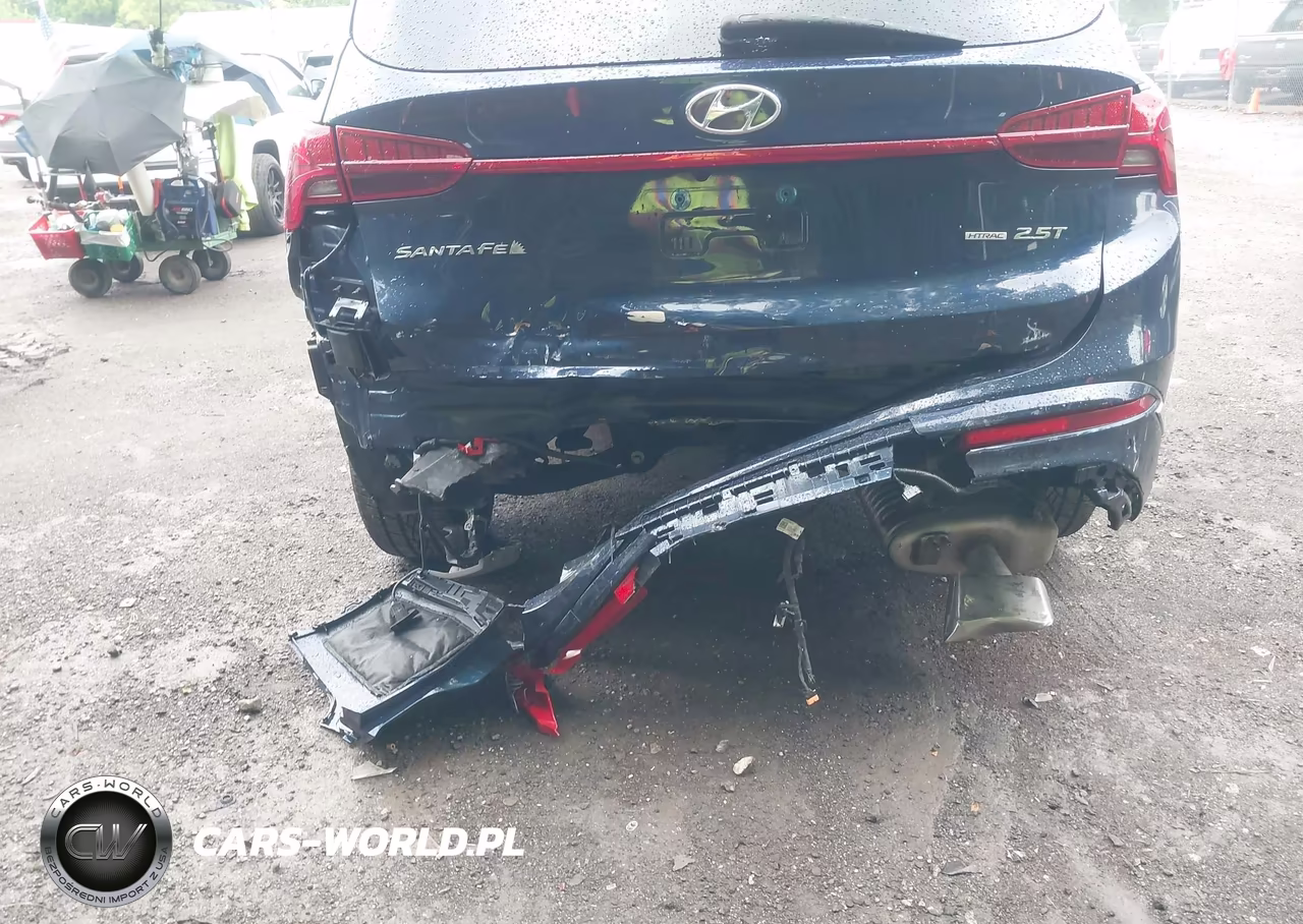 2023 Hyundai Santa Fe Calligraphy VIN:5NMS5DAL2PH543256 - 6