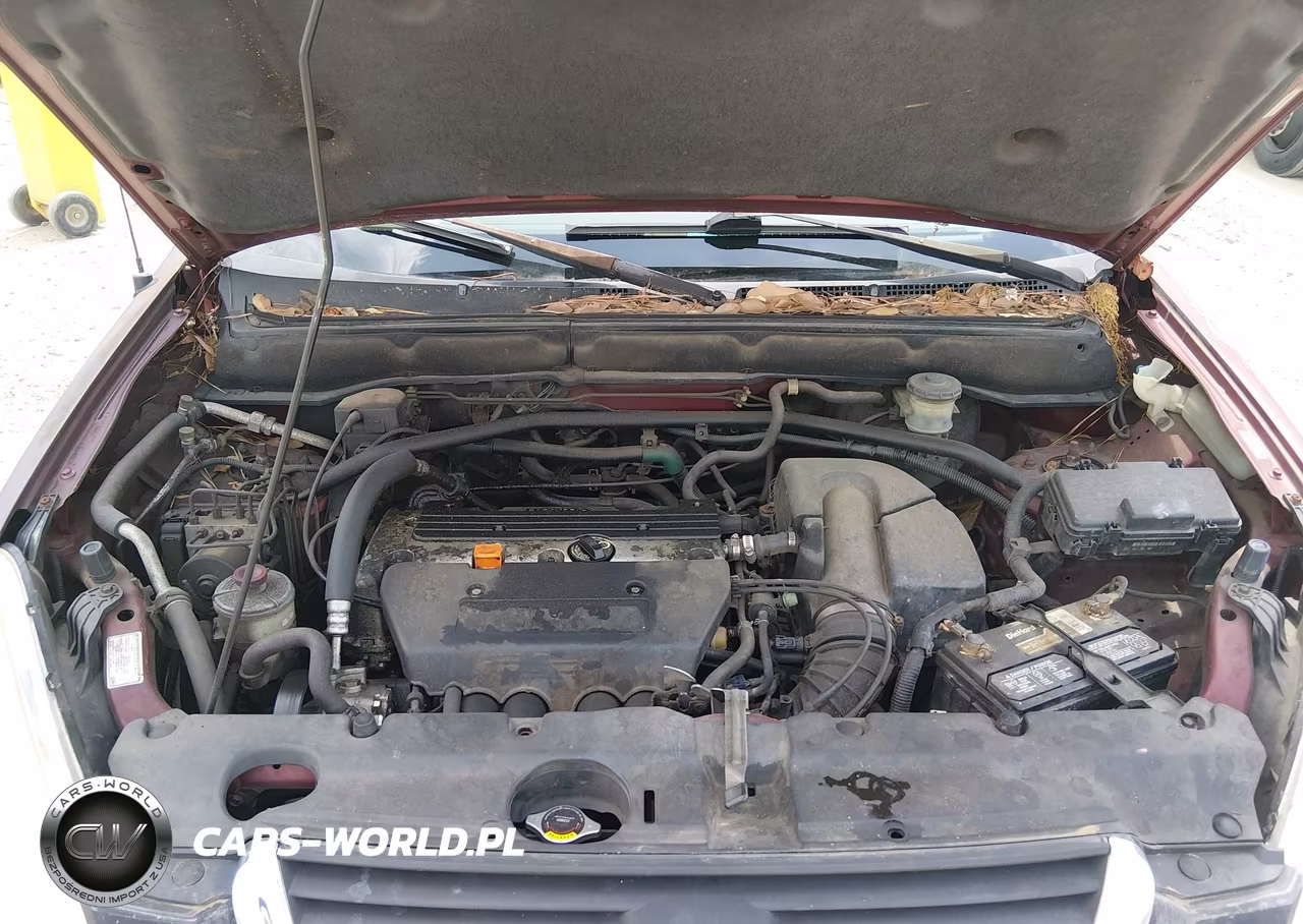 2002 Honda Cr-V Ex VIN:JHLRD78812C044544 - 10